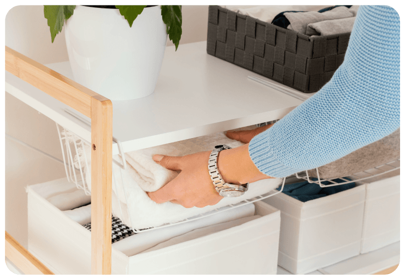 Domestic Assistance 2